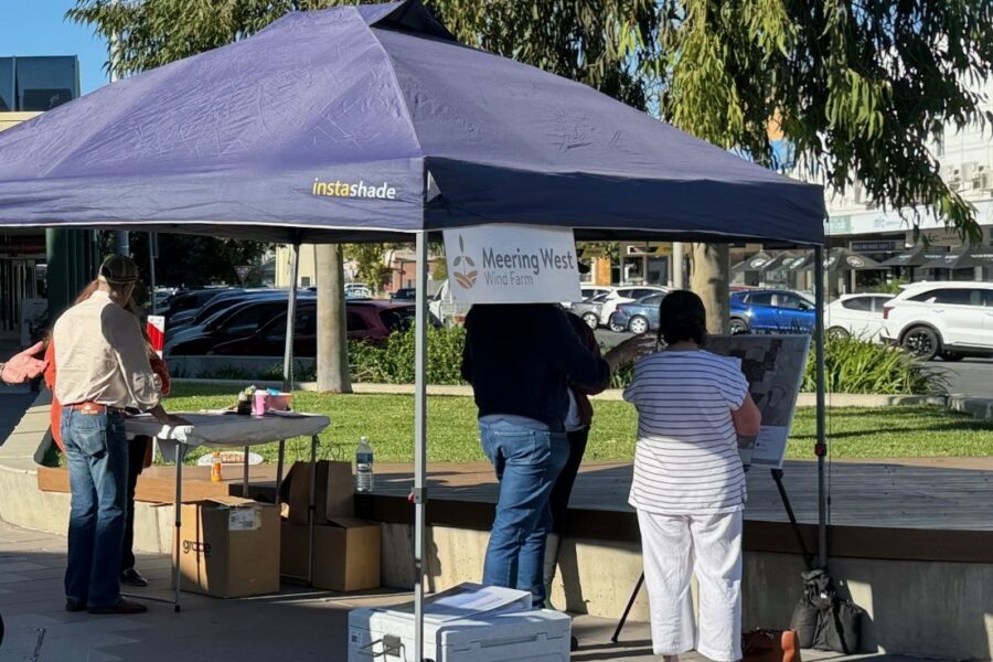 A pop-up event for Meering West Wind Farm: a community member looks at an information board.