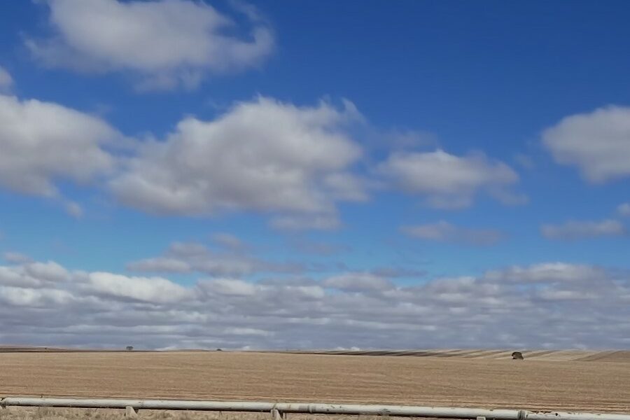 The Snowtown region: a road with a fence running along the side. Fields of dry grass and cloudy blue sky in background