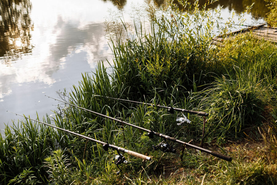 Fishing rods laying on the grass next to a river