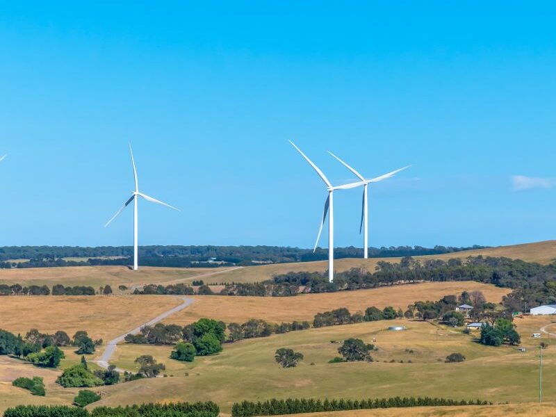Rural land dotted with wind turbines. Yellow-green grass and trees; blue sky above