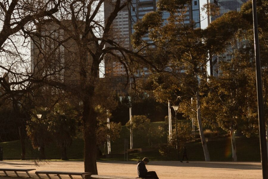 Melbourne CBD buildings, viewed from a park. Tree in foreground; a person is sitting on a park bench
