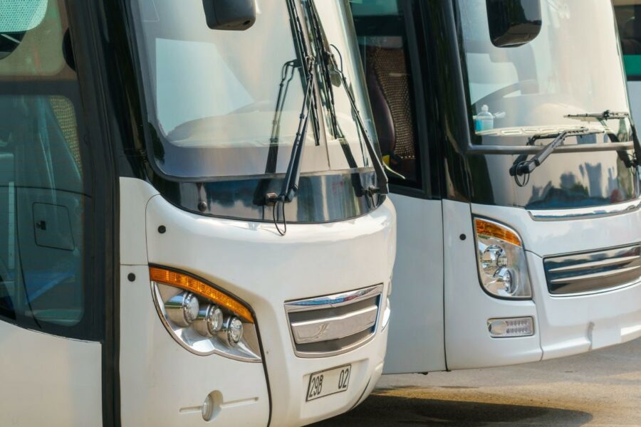 A fleet of buses